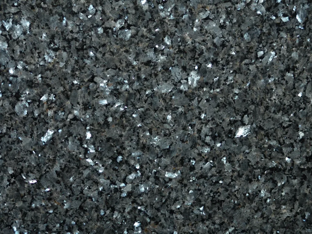 Labrador